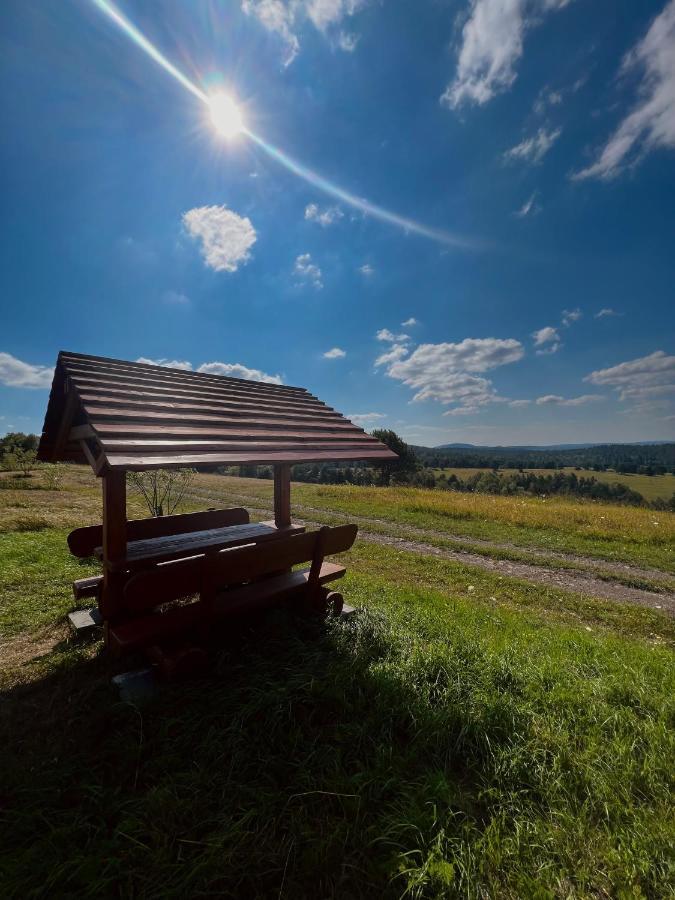 Vila Domki U Bejdaka 789- 039 - 689 Bereznica Wyzna Exteriér fotografie