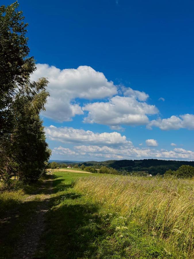 Vila Domki U Bejdaka 789- 039 - 689 Bereznica Wyzna Exteriér fotografie